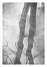 armr_5x7_shup