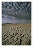 newsand_5x7_shup