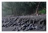 waip_8x10_iview_5x7_gs_5x7_