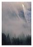 wcwm_8x10_iview_5x7_gs