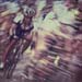 ITMX 1212 SHUPiphoto 6x6