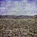 SBNF 1212 SHUPiphoto 6x6