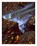 acrg_8x10_iview_5x7_gs_5x7_