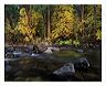 aumr_8x10_iview_5x7_gs