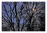 bcim_8x10_iview_5x7_gs