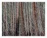 byyv_8x10_iview_5x7_gs