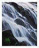 cbwf_8x10_iview_5x7_gs