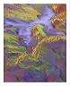 conv_5x7s
