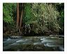 dwar_8x10_iview_5x7_gs_5x_7