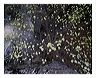 dwhi_8x10_iview_5x7_gs_5x_7