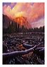 ecss_8x10_iview_5x7_gs_5x_7