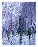 facr_8x10_iview_5x7_gs_5x_7