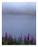 fwaf_8x10_iview_5x7_gs_5x_7
