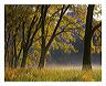 hdao_8x10_iview_5x7_gs_5x_7