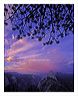 pbhd_8x10_iview_5x7_gs_5x7_