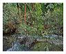 ttdw_8x10_iview_5x7_gs_5x7_
