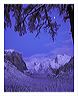 wmip_8x10_iview_5x7_gs_5x7_