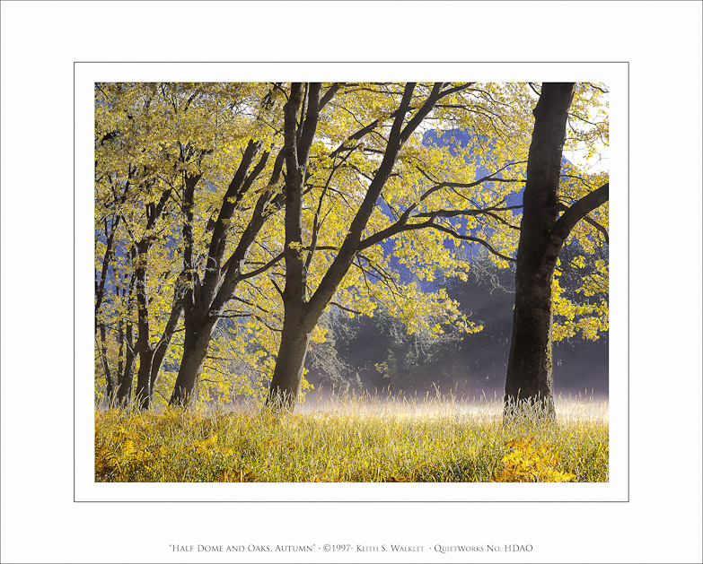 Half Dome and Oaks, 1997