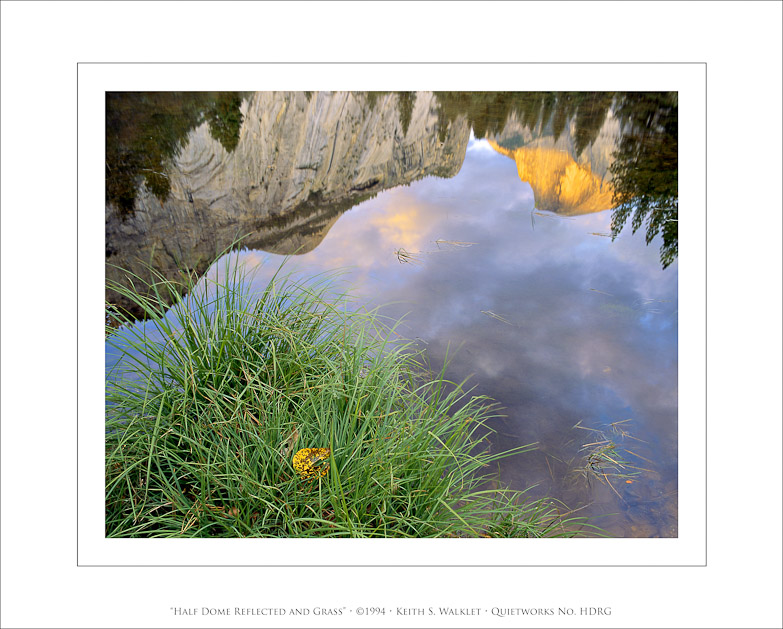Half Dome Reflected and Grass, 1994
