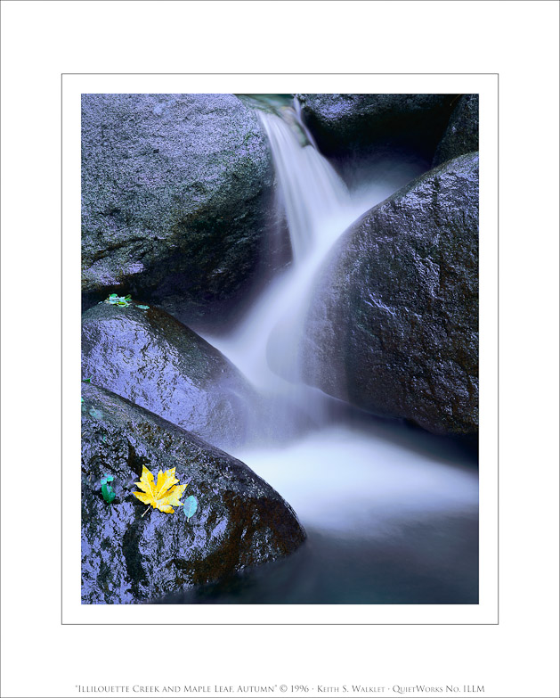 Illilouette Creek and Maple Leaf, Autumn, 1996