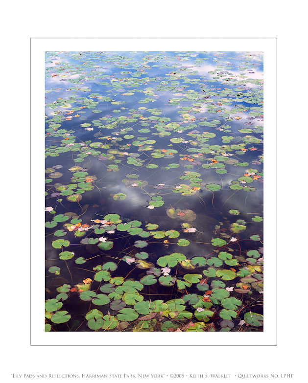 Lily Pads and Reflections, Harriman State Park, New York, 2005