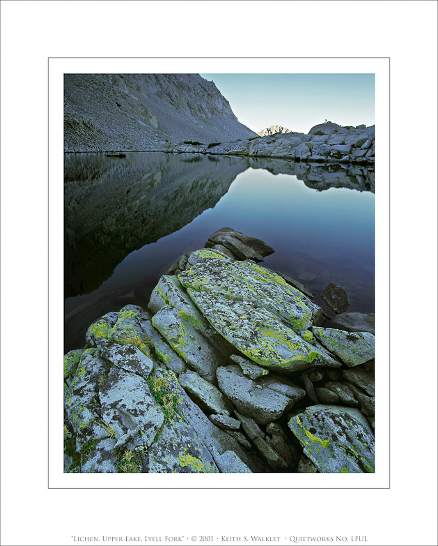 Lichen, Upper Lake, Lyell Fork, 2001