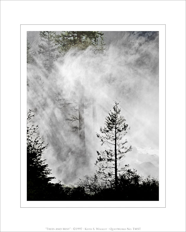 Trees and Mist, 1997