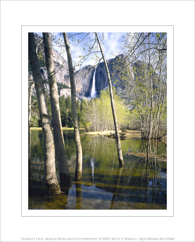 Yosemite Falls, Merced River and Cottonwoods, 2005