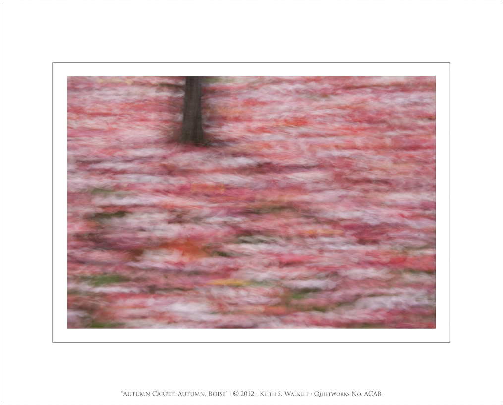 Autumn Carpet, Autumn, Boise, 2012