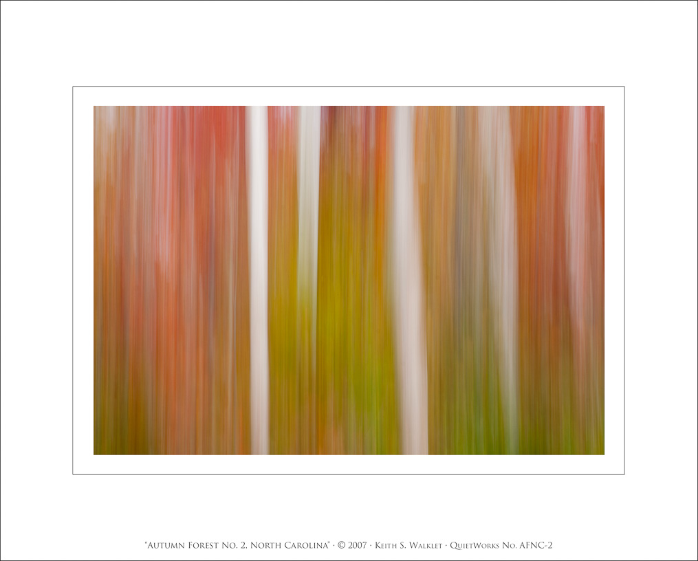 Autumn Forest No. 2,, North Carolina, 2007