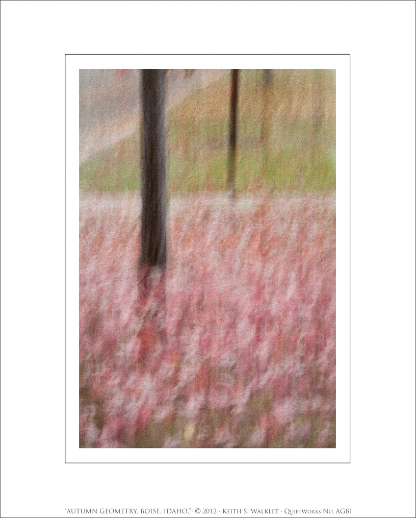 Autumn Geometry, Boise, Idaho, 2012