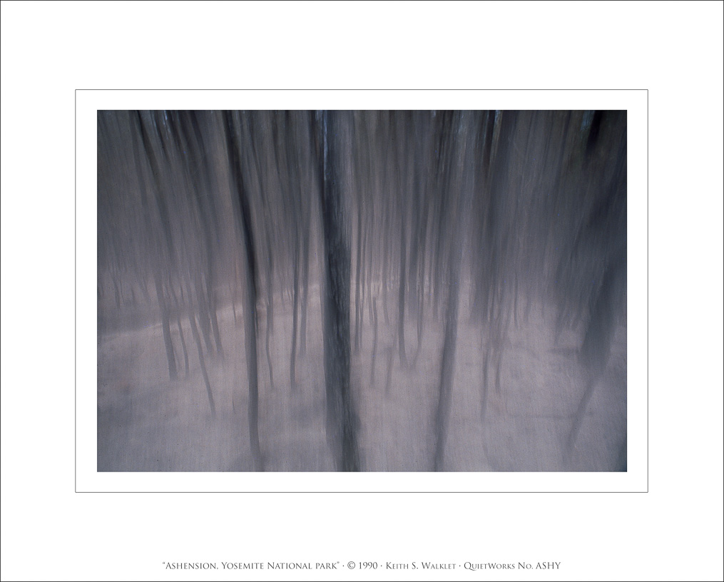 Ashension, Yosemite National Park, 1990