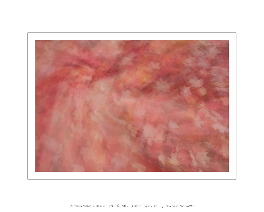 Autumn Wind, Autumn Blaze, 2012