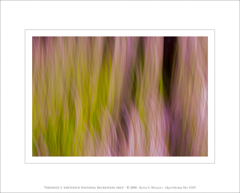 Fireweed-3, Sawtooth National Recreation Area, 2008