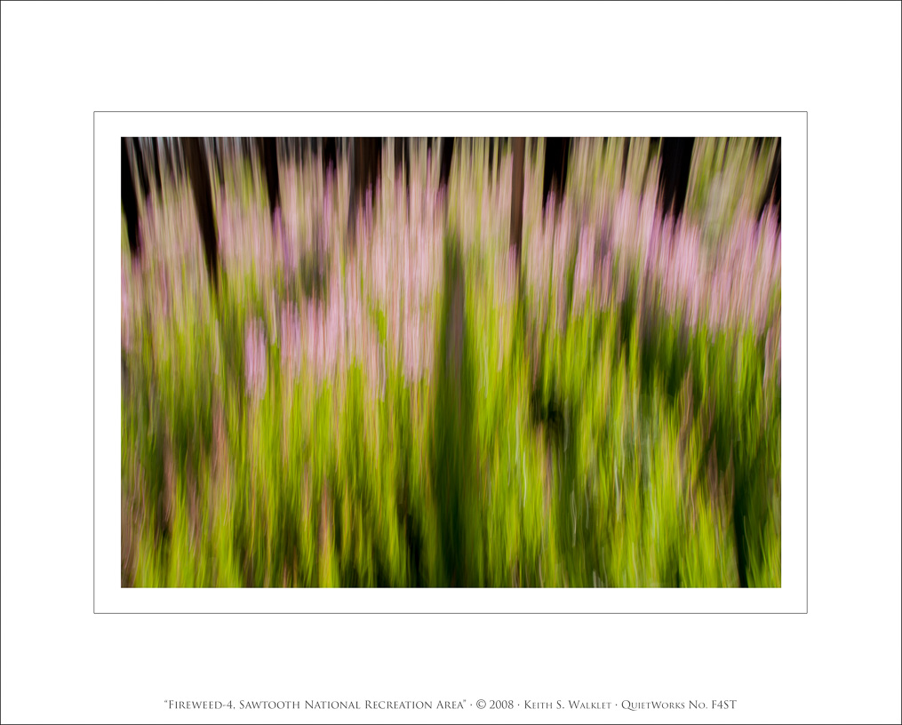 Fireweed-4, Sawtooth National Recreation Area, 2008