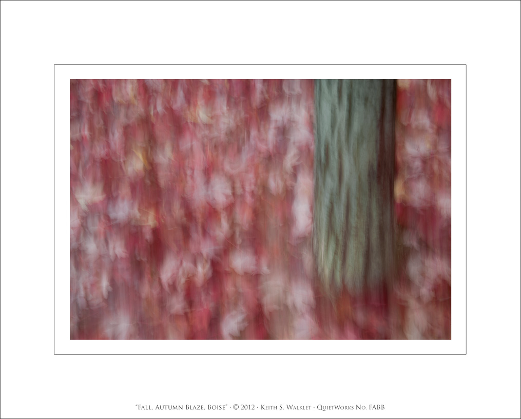 Fall, Autumn Blaze, Boise, 2012