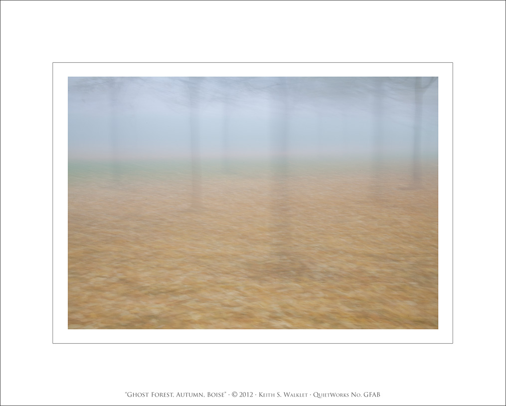 Ghost Forest, Autumn, Boise, 2012