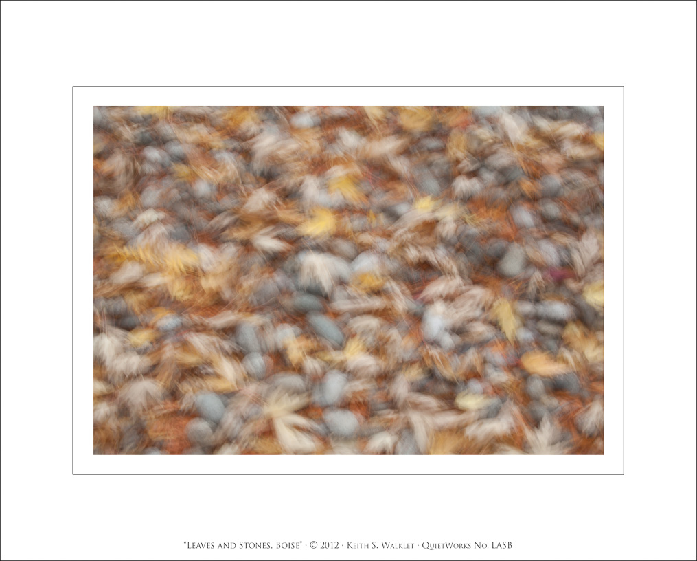 Leaves and Stones, Boise, 2012
