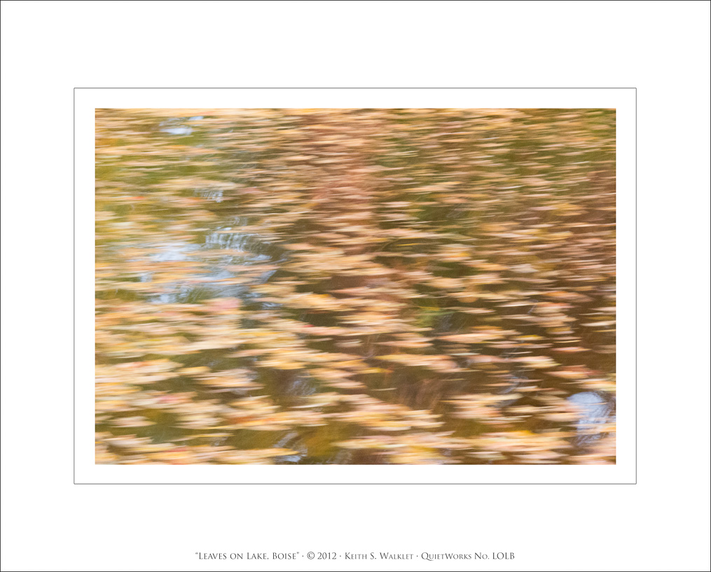 Leaves on Lake, Boise, 2012