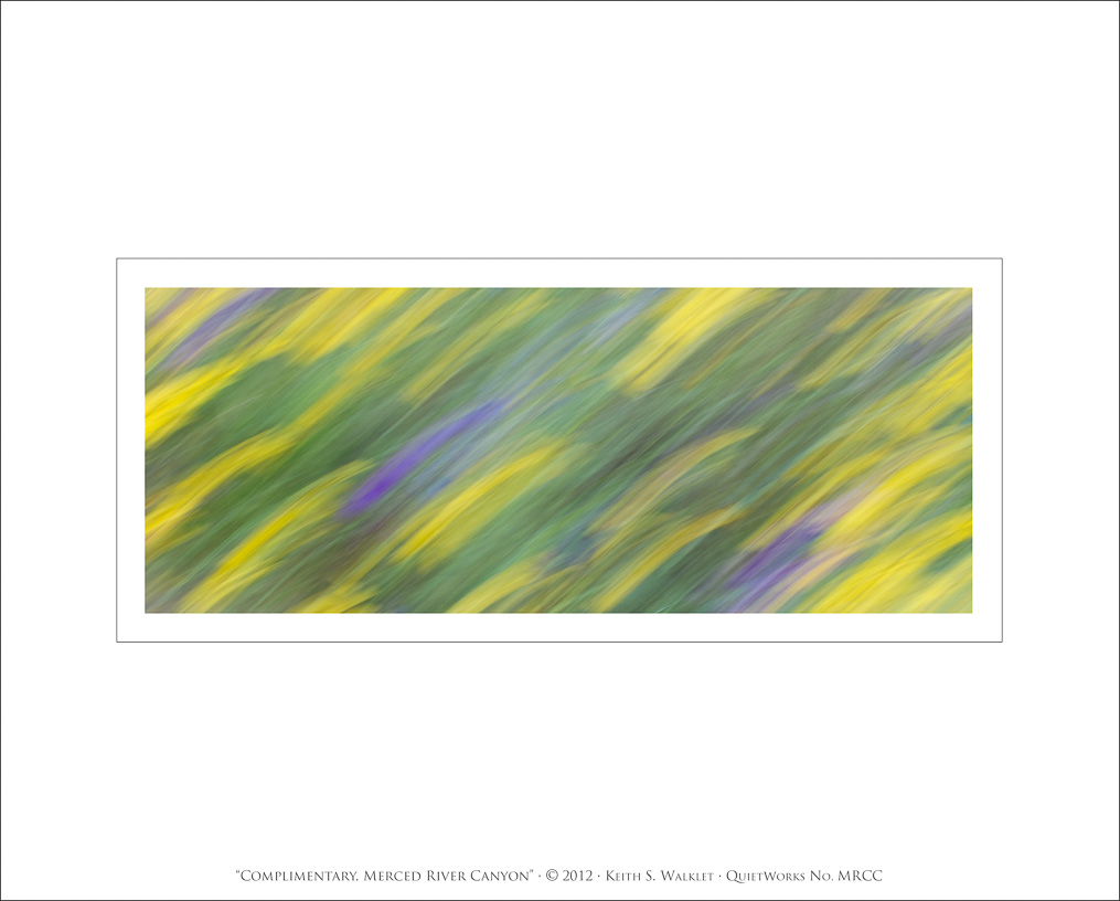 Complimentary, Merced River Canyon, 2012