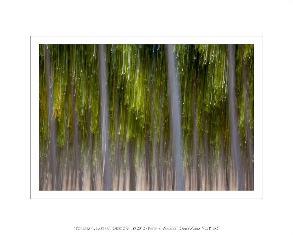 Poplars-1, Eastern Oregon, 2012