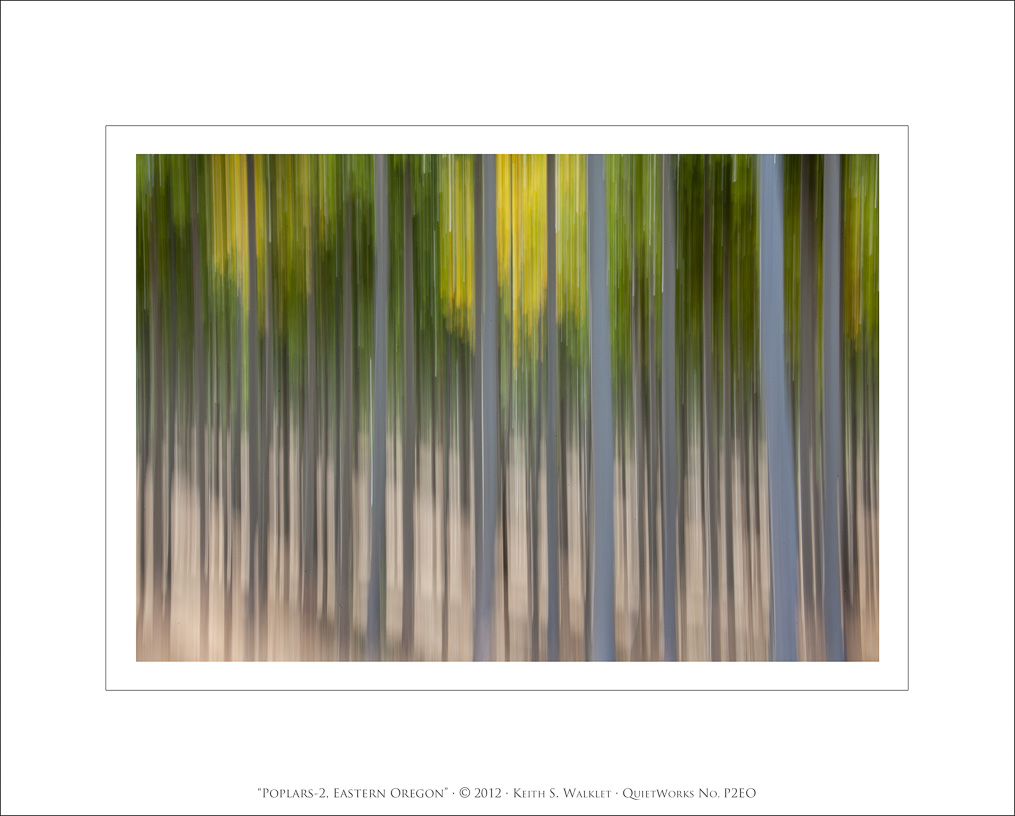 Poplars-2, Eastern Oregon, 2012