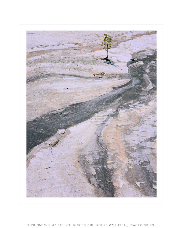 Lone Pine and Granite, Lyell Fork, 2001