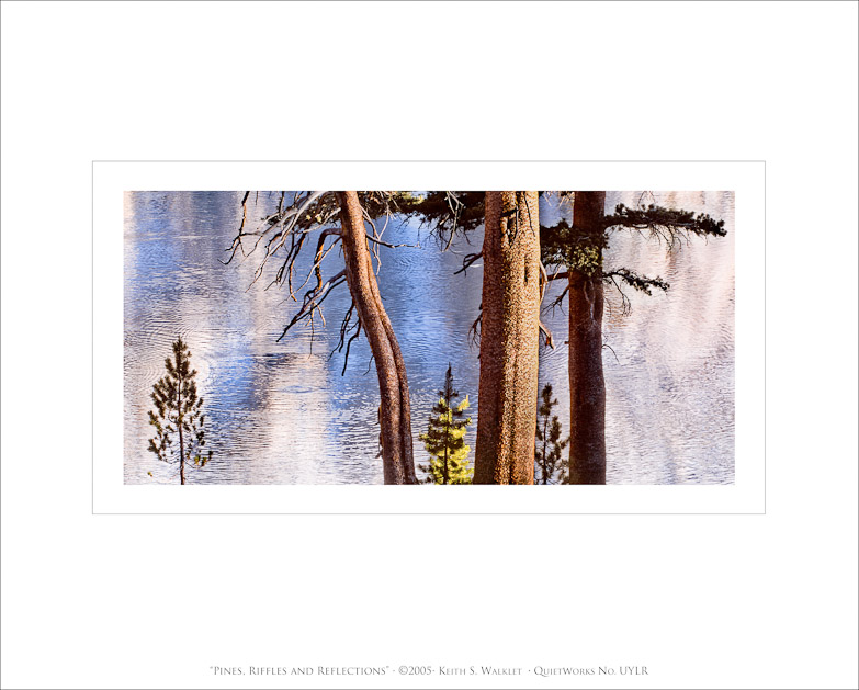 Pines, Riffles and Reflections, 2005