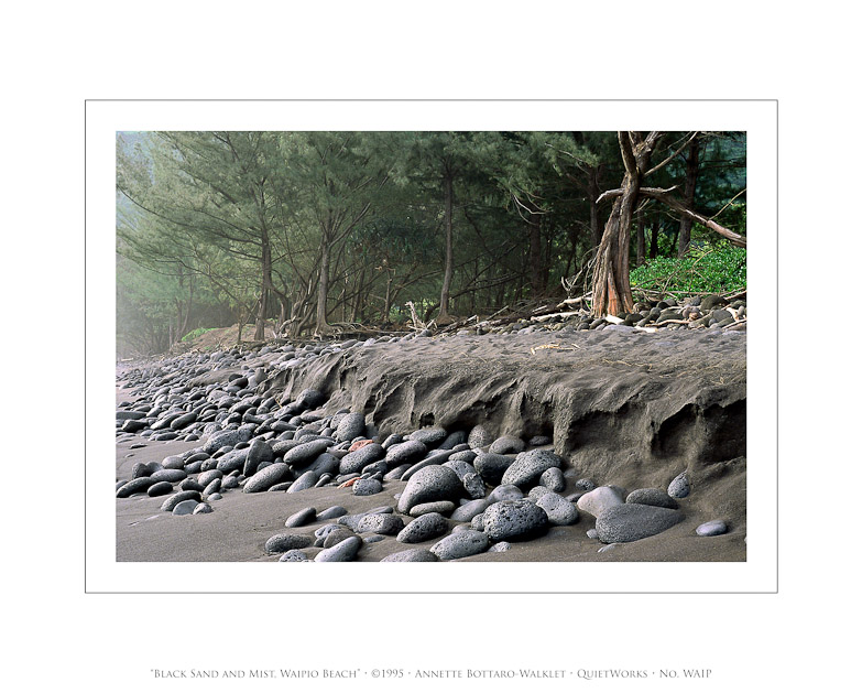 Black Sand and Mist, Waipio Beach, 1995