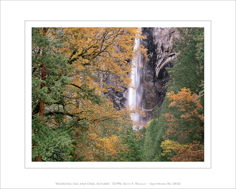 Bridalveil Fall and Oaks, Autumn, 1996