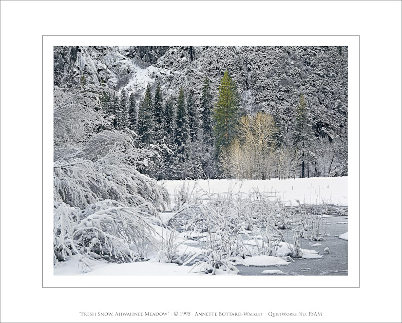 Fresh Snow, Ahwahnee Meadow, 1995