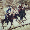 NANK_cr_1212_SHUPiphoto_6x6